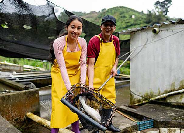 Post-Doctoral Fellowship in Circular Aquaculture