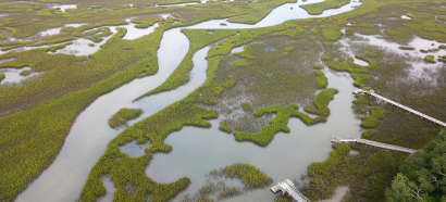 Climate Adaptation and Mitigation