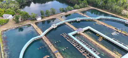 Ecosystem-Based and Circular Aquaculture