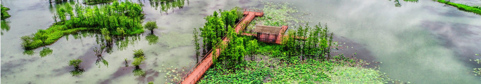 Climate Science and Impacts