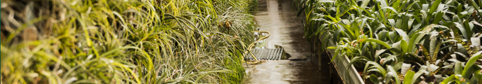 Mitigation, Technology, and Innovation